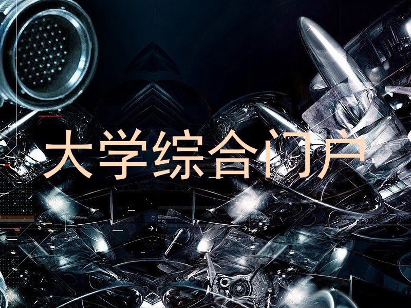 大学综合门户