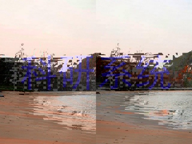 科研系统