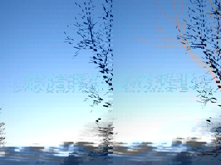 教材发放管理系统