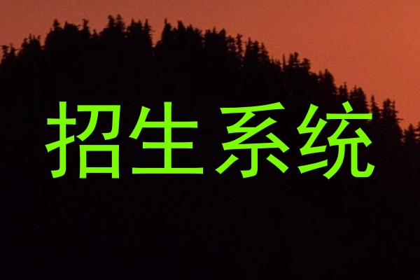 招生系统