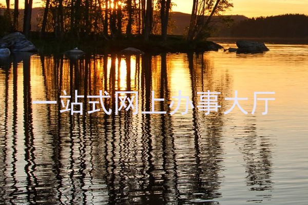 一站式网上办事大厅