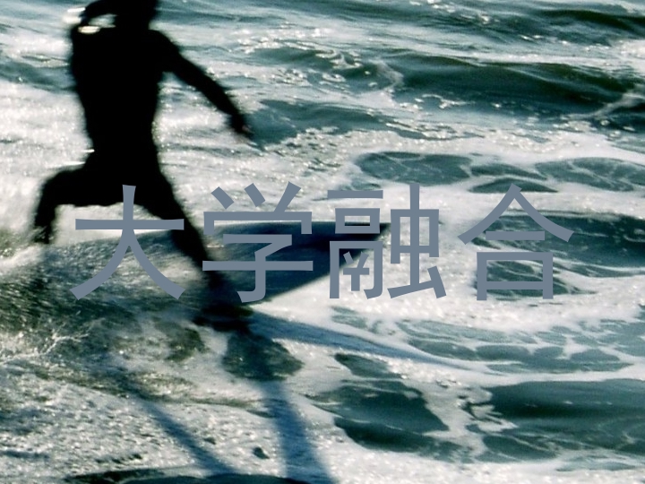 大学融合
