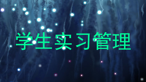 学生实习管理