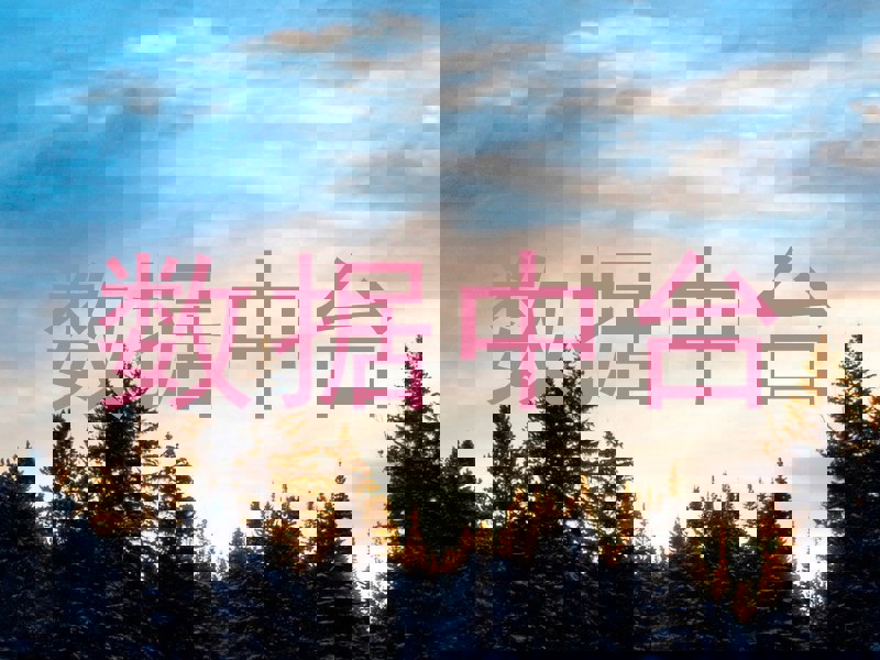 数据中台