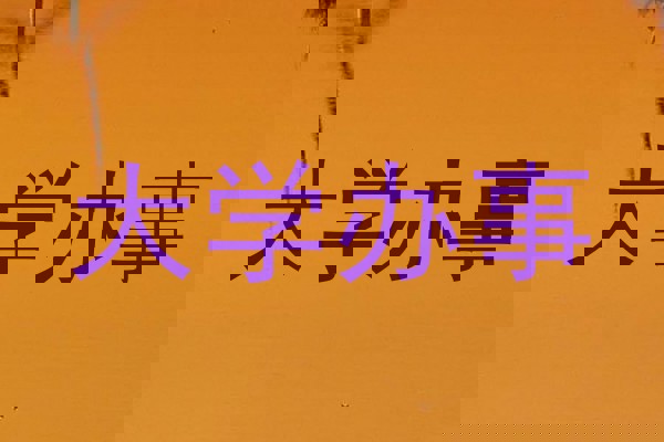 大学办事
