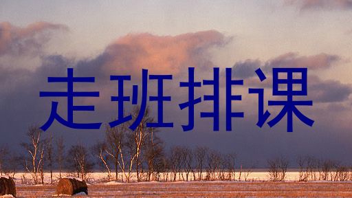 走班排课
