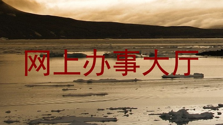 网上办事大厅
