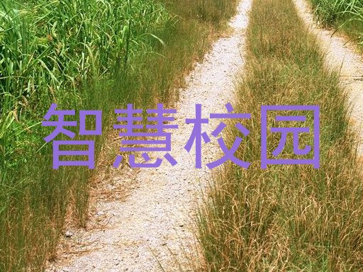 智慧校园