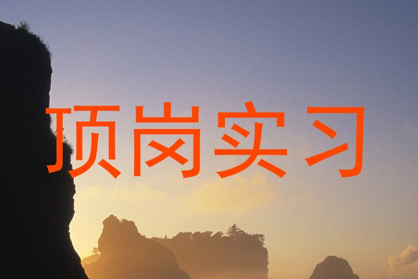 顶岗实习
