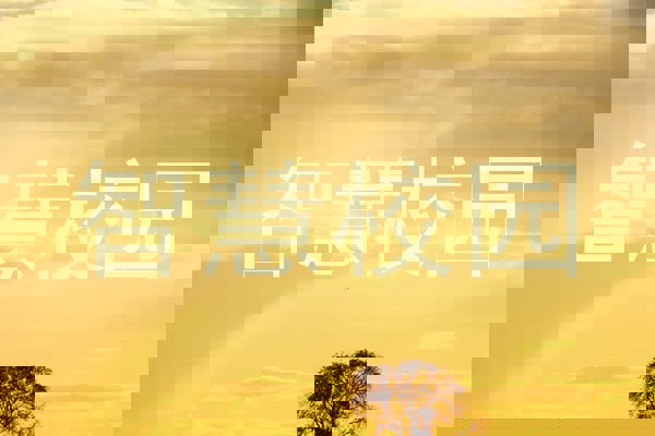 智慧校园