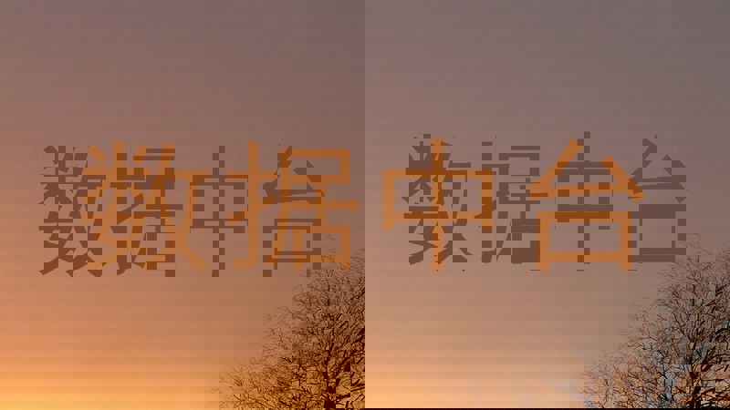 数据中台