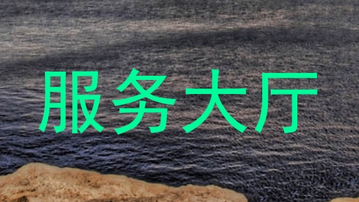 服务大厅