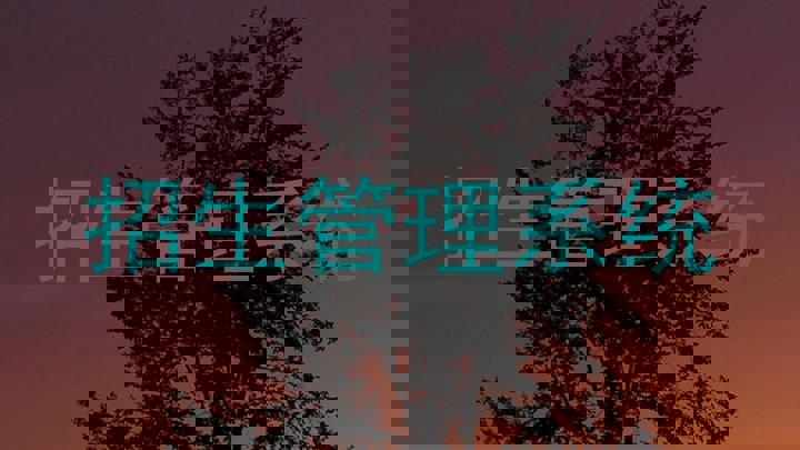 招生管理系统