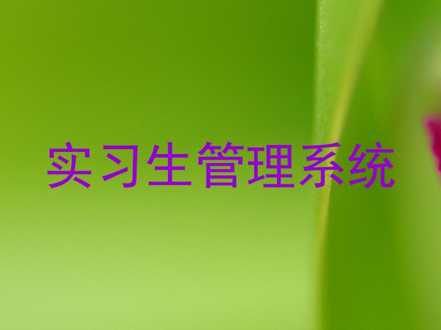 实习生管理系统