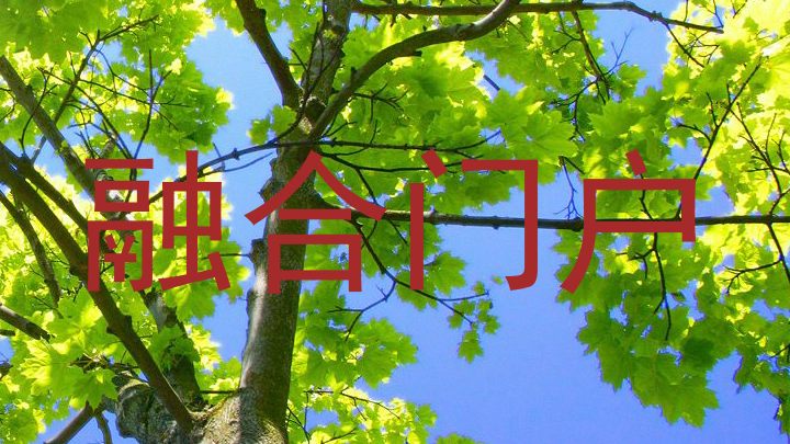 融合门户