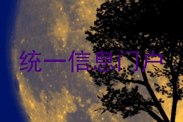 统一信息门户