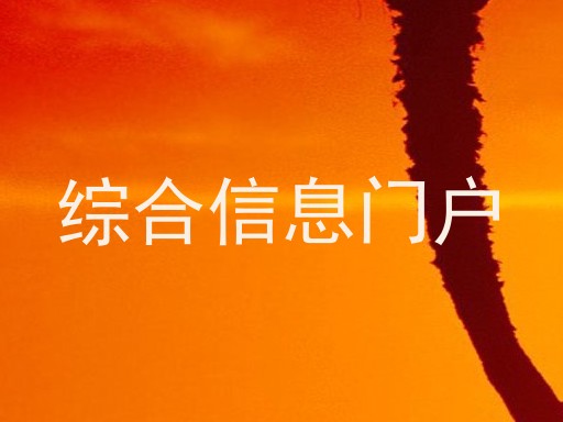 综合信息门户