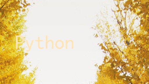 Python