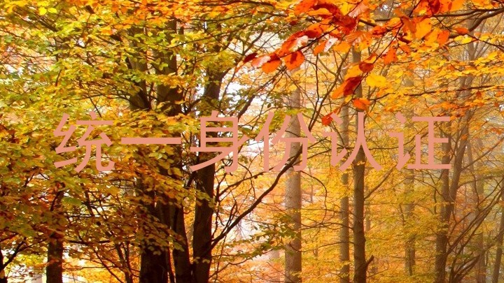 统一身份认证