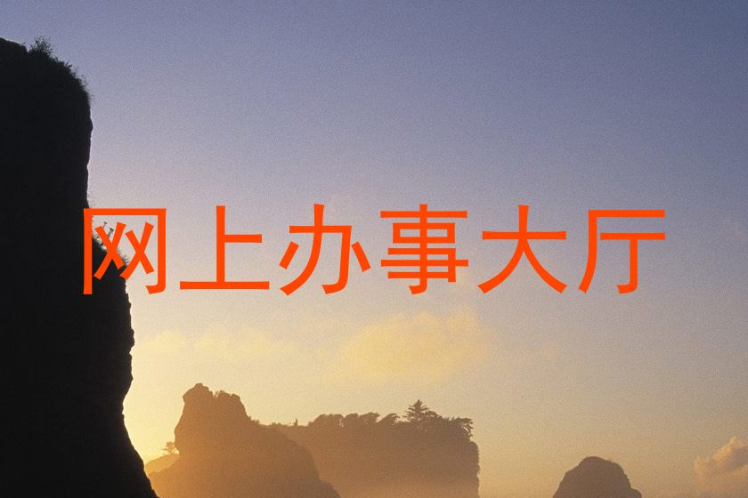 网上办事大厅