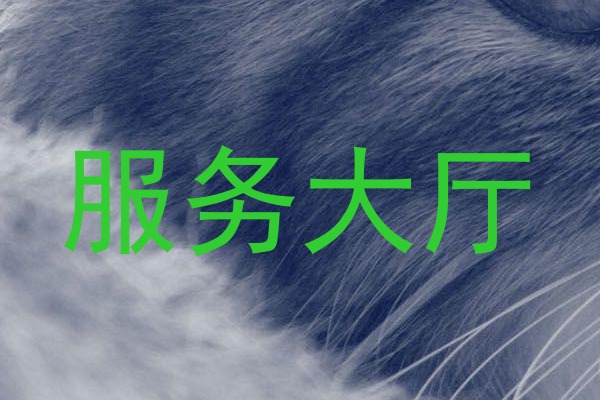 服务大厅