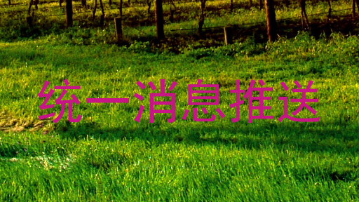 统一消息推送