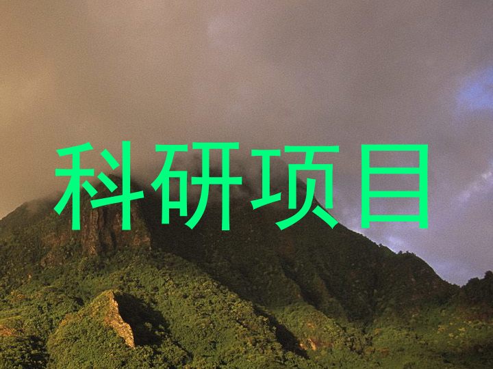 科研项目