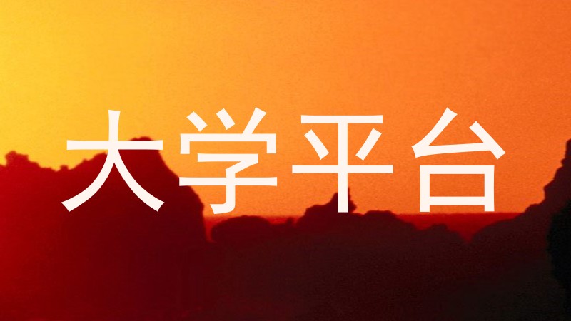 大学平台