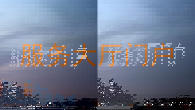 服务大厅门户