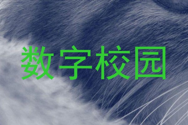 数字校园