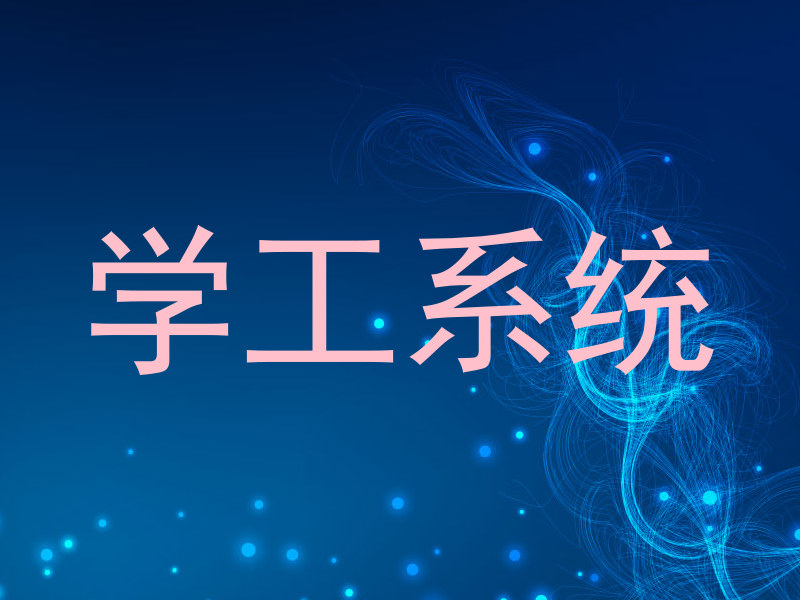 学工系统