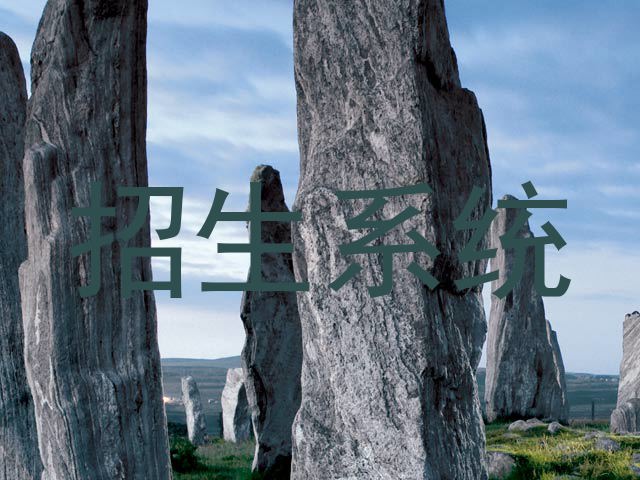 招生系统