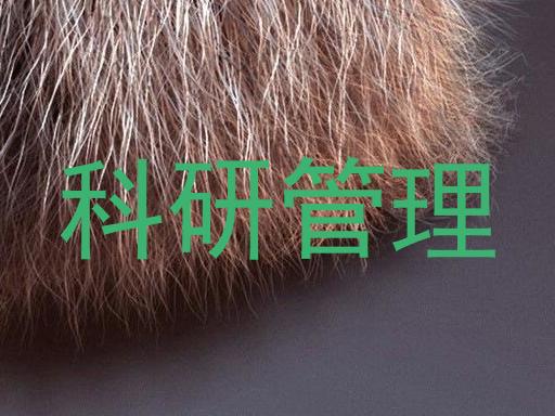 科研管理