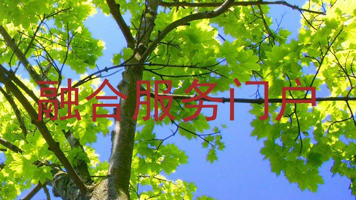 融合服务门户