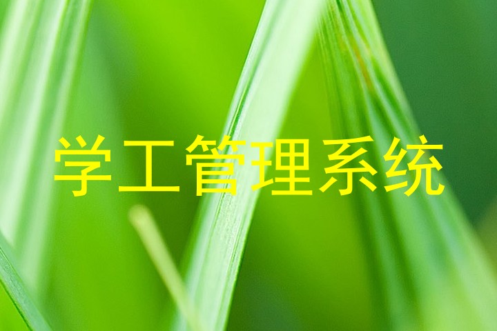 学工管理系统