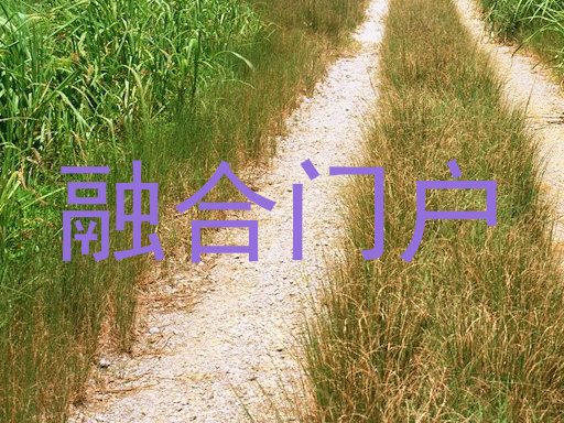 融合门户