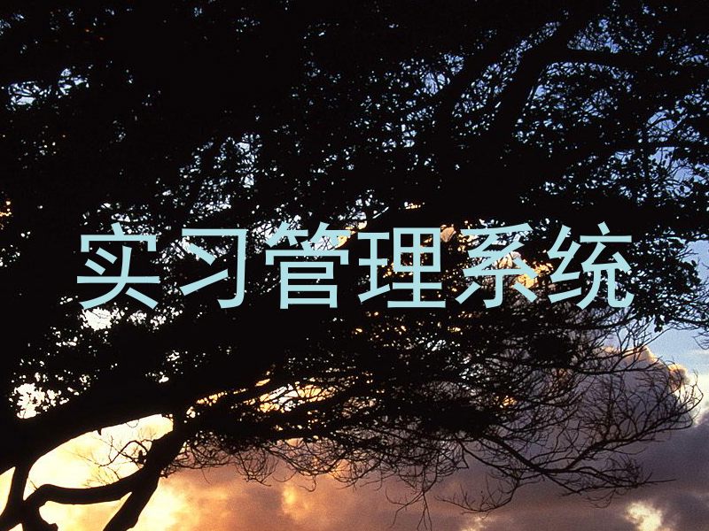 实习管理系统