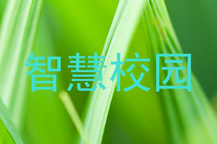 智慧校园