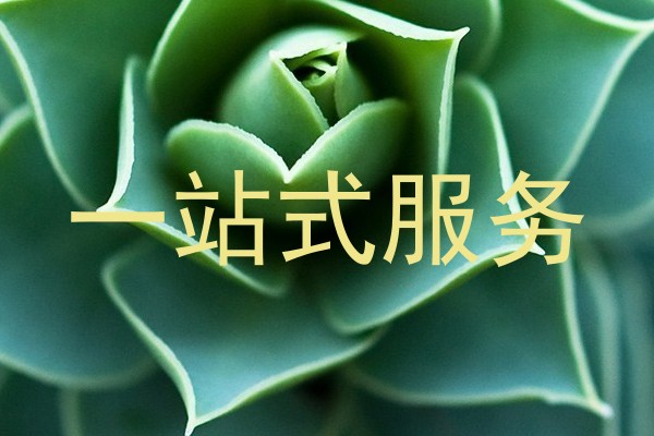 一站式服务