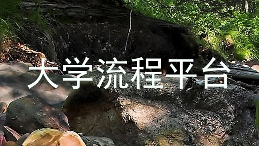 大学流程平台
