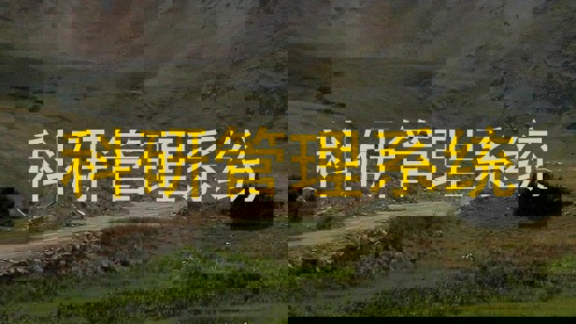 科研管理系统