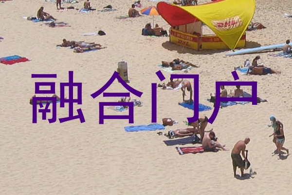 融合门户