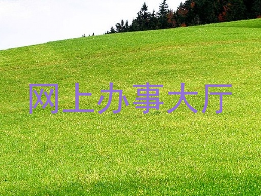 网上办事大厅