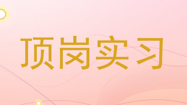 顶岗实习