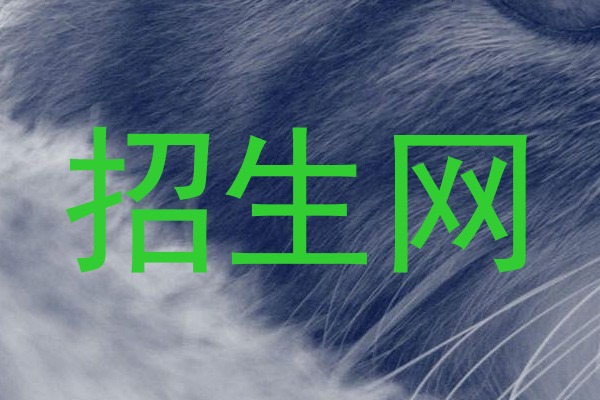 招生网