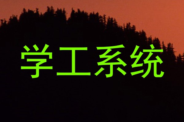 学工系统