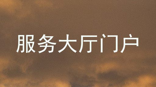 服务大厅门户