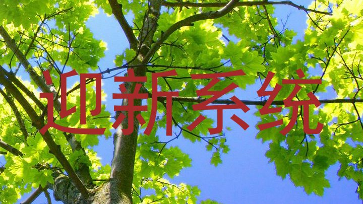 迎新系统