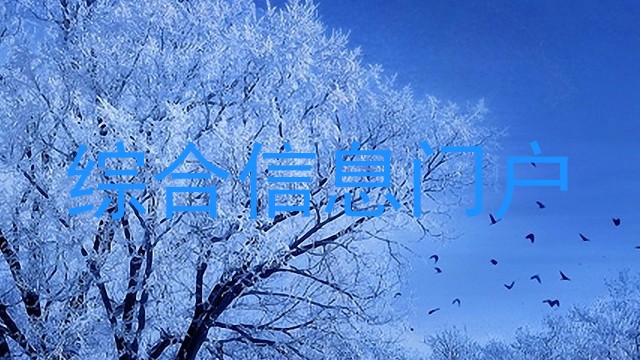 综合信息门户