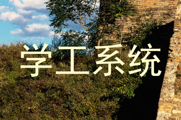 学工系统